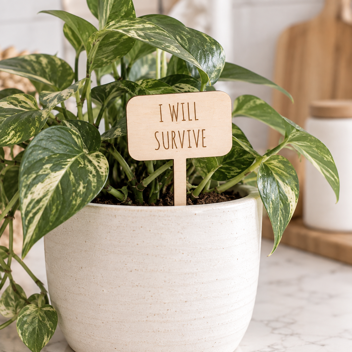 Funny Garden Plant Markers Set - Charlie + Pine